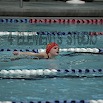 DSC_0748.jpg