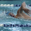 DSC_1889.jpg